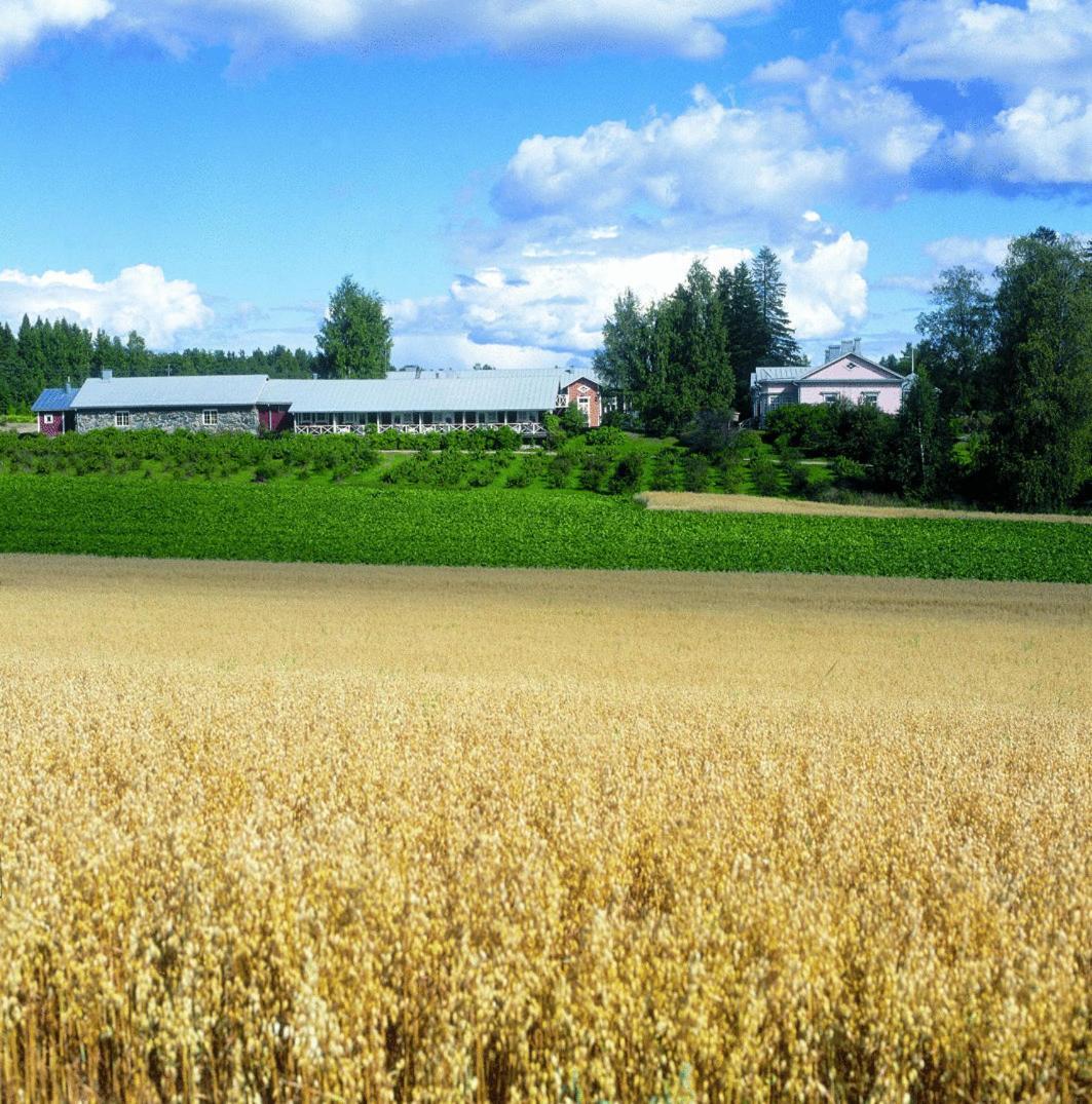 Hotel Tertin Kartano Mikkeli Exteriér fotografie